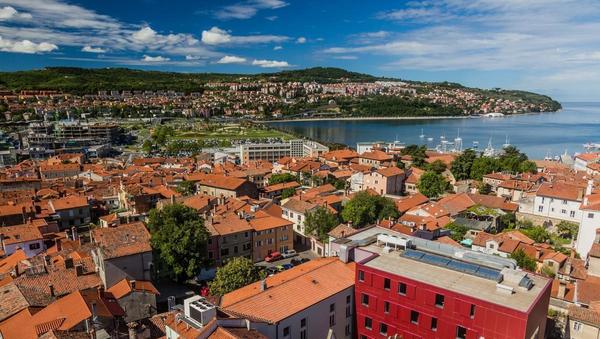 Kaj vse se da na dražbah kupiti na Obali