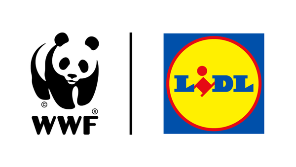 Lidl in WWF začenjata ambiciozno mednarodno partnerstvo